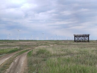 wind farm in the field