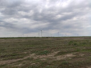 wind farm in the field
