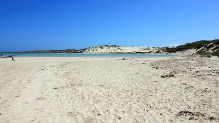 Shark nursery in Coral Bay, Western Australia 