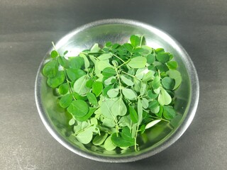 Moringa oleifera leaves in the bowl on black background. this tree is the family of Moringaceae. It has many other names like include moringa, drumstick tree, horseradish tree, ben oil tree, benzolive