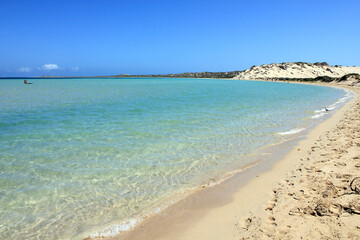 Shark nursery in Coral Bay, Western Australia 