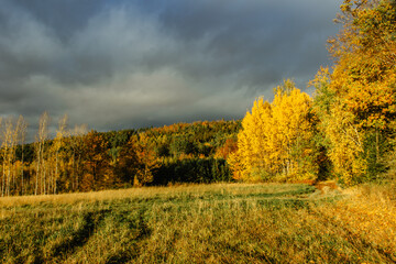 Fall countryside before the rain. Storm clouds, dark sky and colorful autumn trees. Beautiful scenery with golden sunlight.Fall colors and weather.Stormy weather ahead.Idyllic agricultural farmland.
