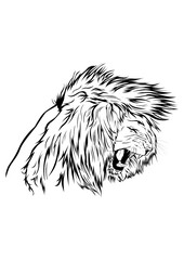 great head lion black line art illustration for t-shirt design