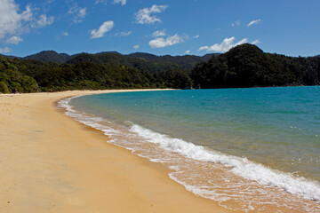 New Zealand - Pacific coast and sunny beaches