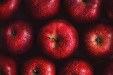 Top view of several ripe sweet red large apples, on the surface of which drops of clear water. A harvest of delicious fruit.