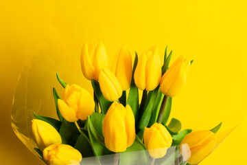 Bouquet of beautiful yellow tulips
