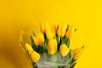 Beautiful yellow tulips isolated on background. Bouquet of fresh tulips.