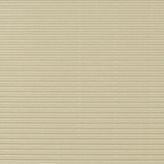 Obraz premium Blank beige corrugated paper background