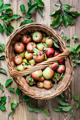 Fresh red apple in basket on wooden table