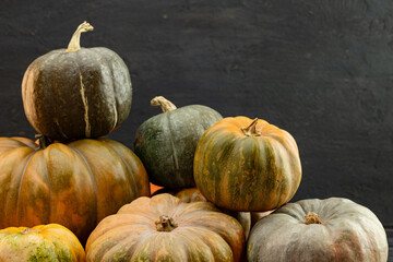 Assortment of different pumpkins on dark wooden background