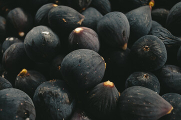 Fig