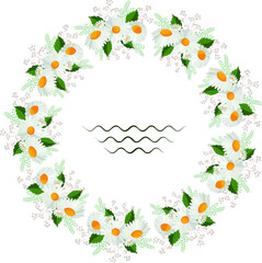 Decorative wreath of daisies. Beautiful summer vector. Perfect for a greeting card