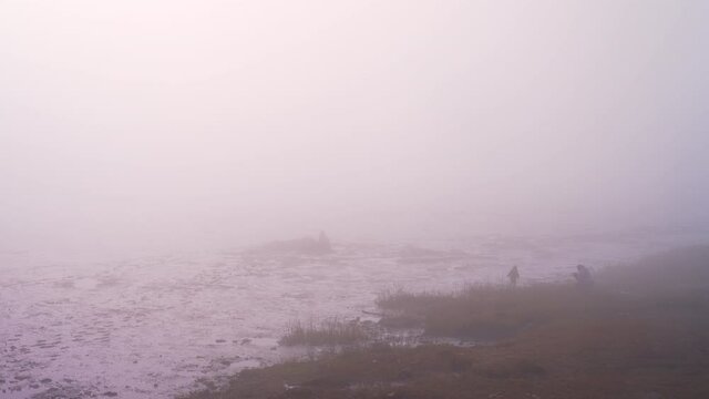 Eerie mysterious shot in heavy of fog of clammers digging for clams in mudflat as family plays in trial pools