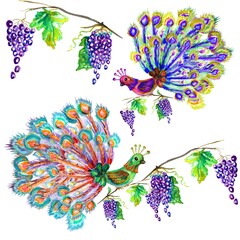 set of peacocks on a branch of grapes,  Folk pattern birds, flowers, leaf and grape branches in vintage style,isolated on white background. Hand drawn vector illustration suite with ethnic peacocks an