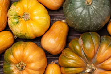 Background of a lot of colorful pumpkins