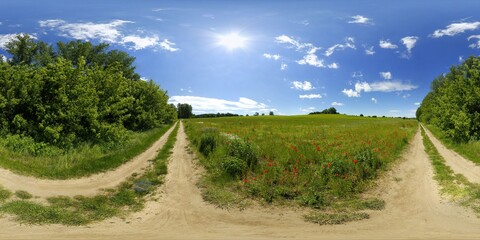 Road in the Fields HDRI Panorama