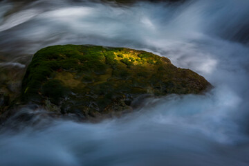中国四川阿坝九寨沟秋色