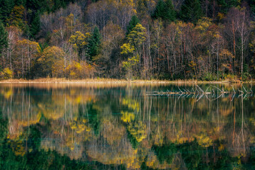 中国四川阿坝九寨沟秋色