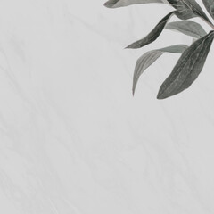 Green leaves gray marble background
