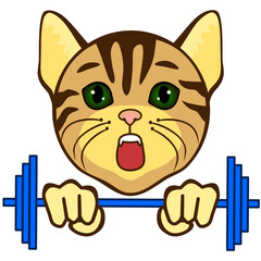 Emoticon with a cool cat weightlifter that raises the barbell, color vector clip art on white isolated background