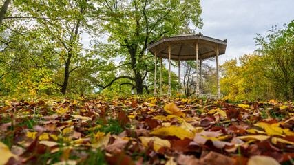 Pavilion at the Palmengarten in Leipzig and colorful autumn leaves
