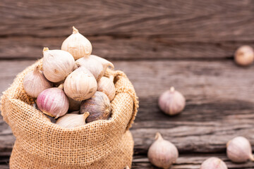 Garlic on the wooden table