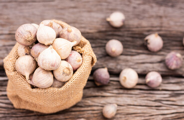Garlic on the wooden table