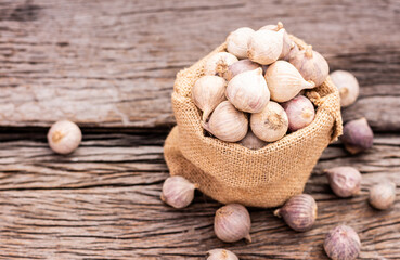 Garlic on the wooden table