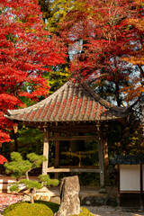 Autumn colors at the Japanese garden of Choan-ji temple in Fukuchiyama city, Kyoto, Japan