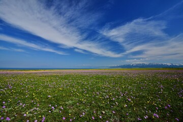 中国新疆赛里木湖
