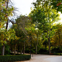 Naklejka premium Autumn in Retiro Park of Madrid