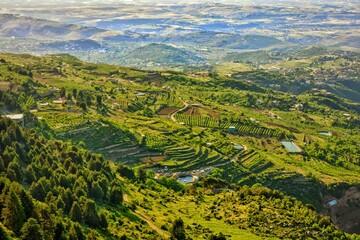 Obraz premium rice terraces in island