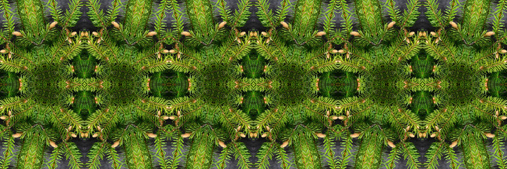 Christmas decoration made from naturalistic looking green spruce branches with needles. Kaleidoscope illustration.