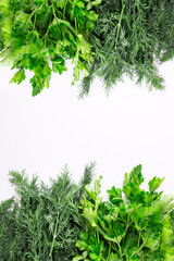 Fresh green spices on white background with copy space. Top view