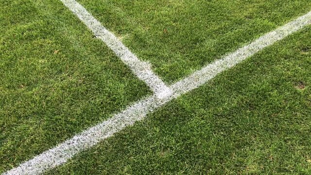 Lines on a Soccer Field