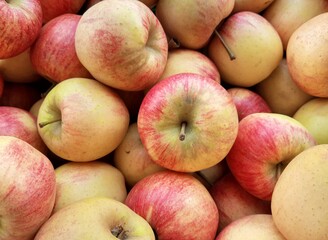 Äpfel
