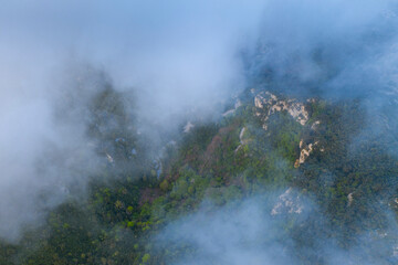 HOYAS o DOLINAS on Candina Mountain, Springtime, Encinar Cantábrico, Oak, Candina Mountain, Liendo, Liendo Valley, Montaña Oriental Costera, Cantabria, Spain, Europe