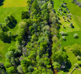 Fototapeta na wymiar GALLERY FORESTS (Bosque de Ribera, Soto), Springtime, Ason river, Ramales, Cantabria, Spain, Europe