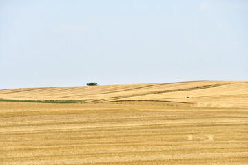 spanish landscape view of european countryside rural area in castilla y leon burgos spain.