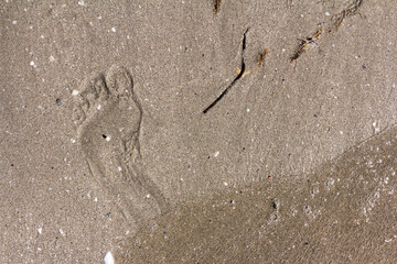 Texture background Footprints of human feet on the sand near the water on the beach