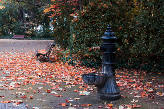 Una fuente para beber agua en medio de un parque con hojas caídas por el otoño y un banco de madera