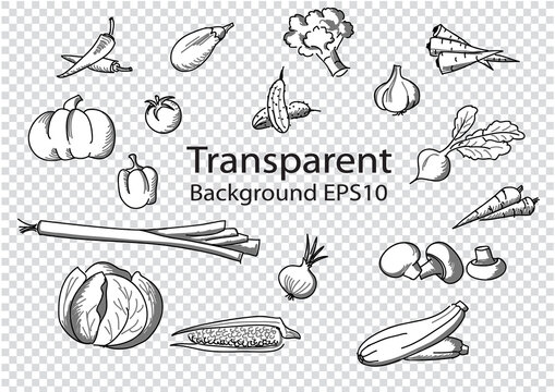 Vector Set Of Vegetables Isolated On Transparent Background.