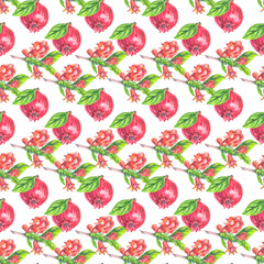 seamless watercolor pomegranate pattern on white background