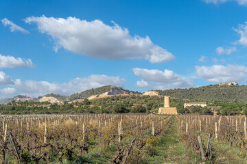 Fototapeta na wymiar Vineyard with stone mill and mountains in the background on a sunny day