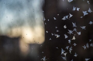 Frosty natural pattern and sun on winter window