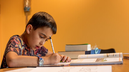 Junge beim lernen zu Hause während der Quarantäne
Boy studying at home during quarantine