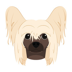 Chinese Crested Dog isolated on white background vector illustration