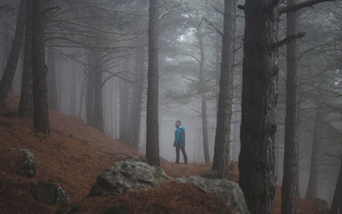 Chico de espaldas mirando hacia atrás en un bosque de pinos un día de niebla