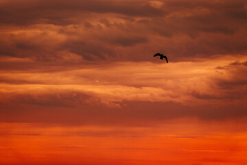 silhouette at sunset