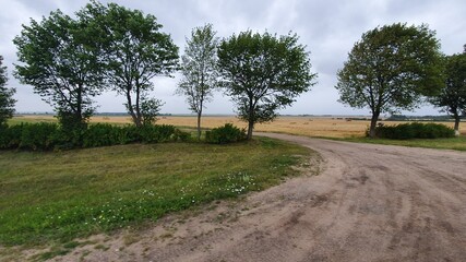 Fototapeta premium road in the field